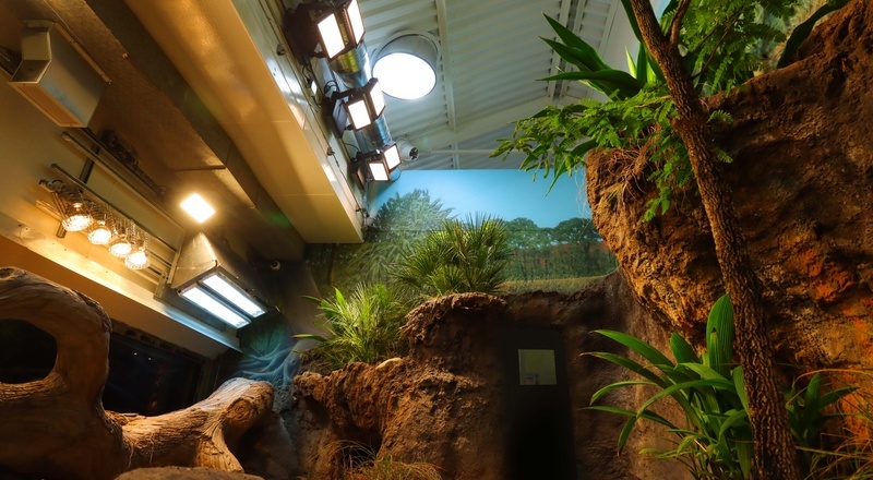 K5 (1) - 800x440