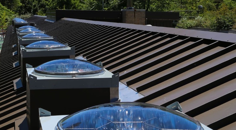Woodland Zoo Roof - 800x440
